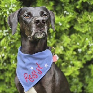 Resist Over the Collar Dog Bandana, blue and red, summer, protest, politics, Activism, Handmade and hand embroidered