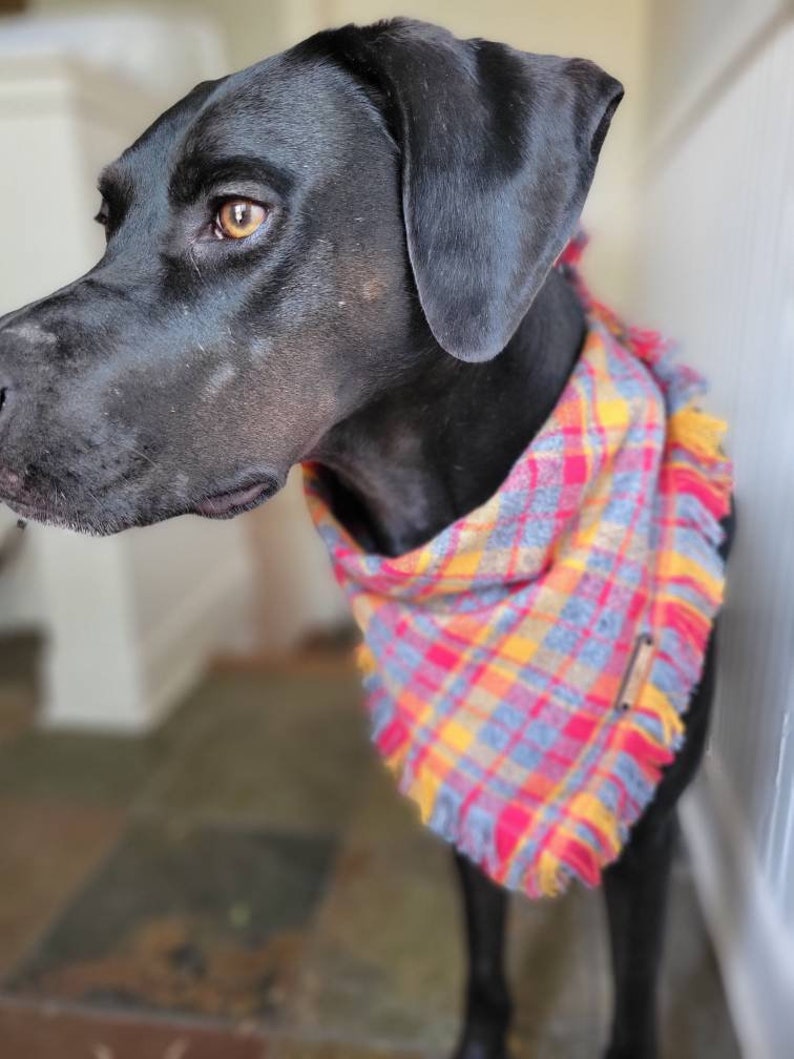 Kansas City Chiefs Theme Dog Bandana, Red and gold, Plaid Flannel, KC chiefs, best seller, fan, gift, Chiefs football, chiefs dog, handmade image 4