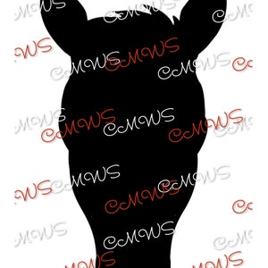 Horse Head Frontal View PNG