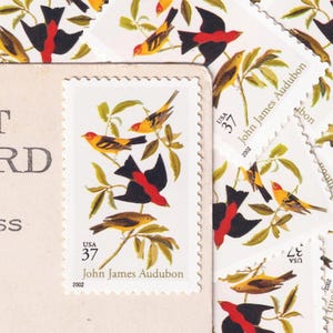 10 Vintage Unused Audubon Birds Wildlife 37 Cent Stamps - USA Postage Set (New/Mint Condition)