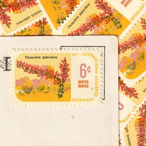Vintage Ocotillo Flower Stamps: 6c Botanical Congress , Set of 10