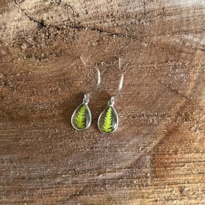 May include: A pair of silver earrings with a teardrop-shaped resin pendant featuring a pressed green fern leaf.
