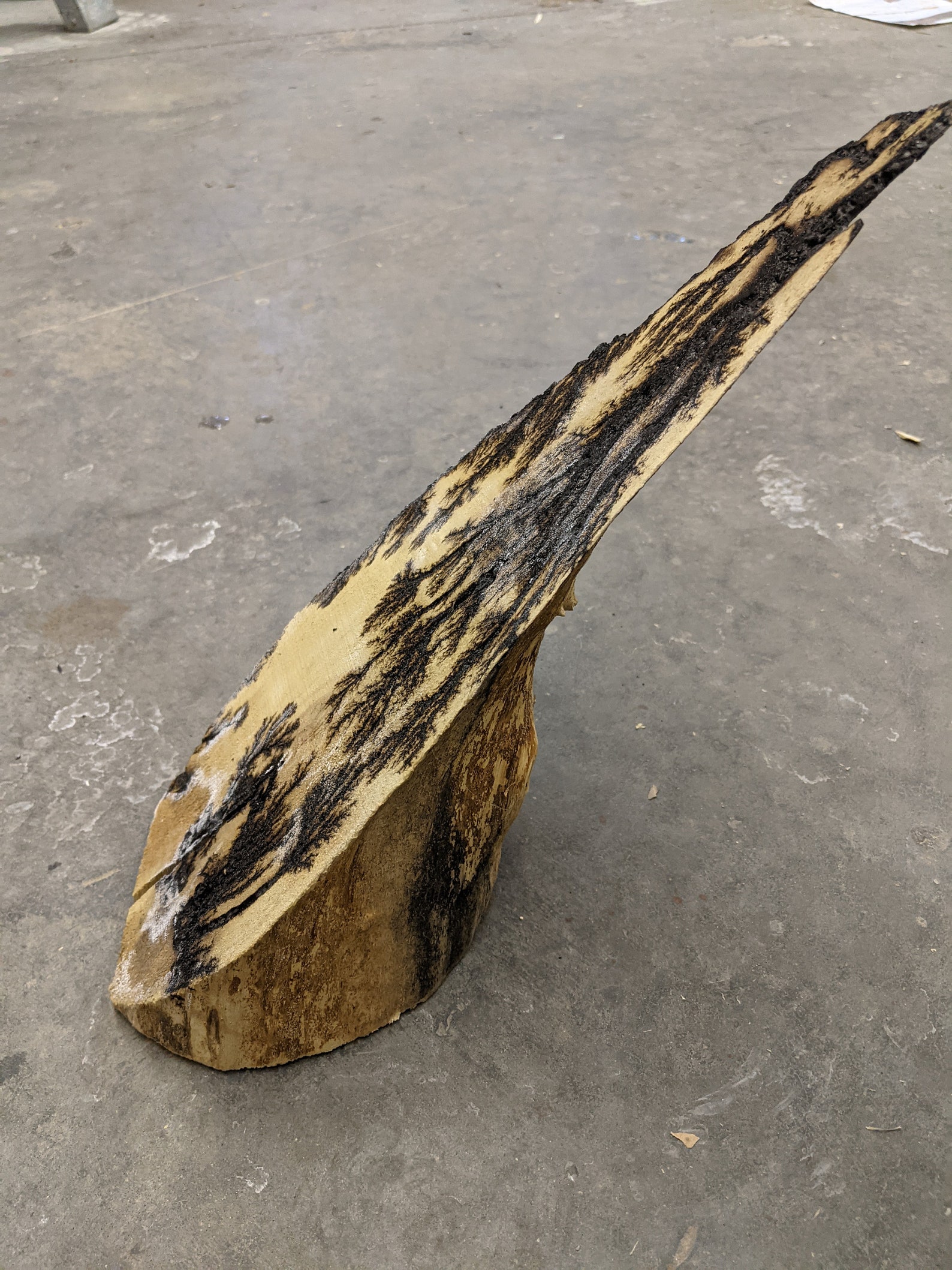 Wichtelhut Elektrocuted Unfinished Box Holunder Stehend | Etsy