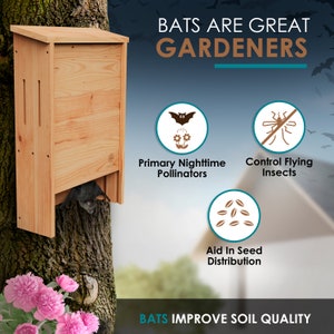Large Bat House Bat Box Double Chambered Bat Houses Improved Air Flow & Easy-Grip Surfaces Perfect Bat House Nursery / Bat Shelter image 4