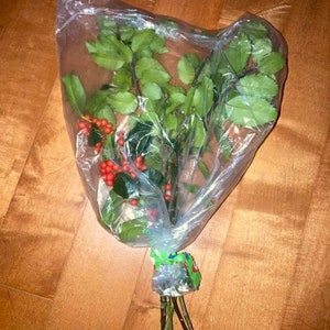 Fresh Cut English Holly