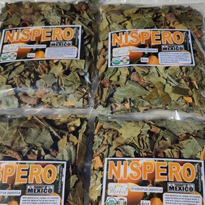 Hojas/Hierbas de Mispero Nispero Loquat leaves 1LB Herbs Natural Tea Eriobotrya nispero herbs image 6