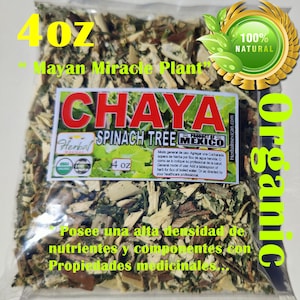 Chaya, Arbol de chaya, Mexican spinach tree, Te de chaya, Mayan miracle plant 4oz Chaya herbal tea