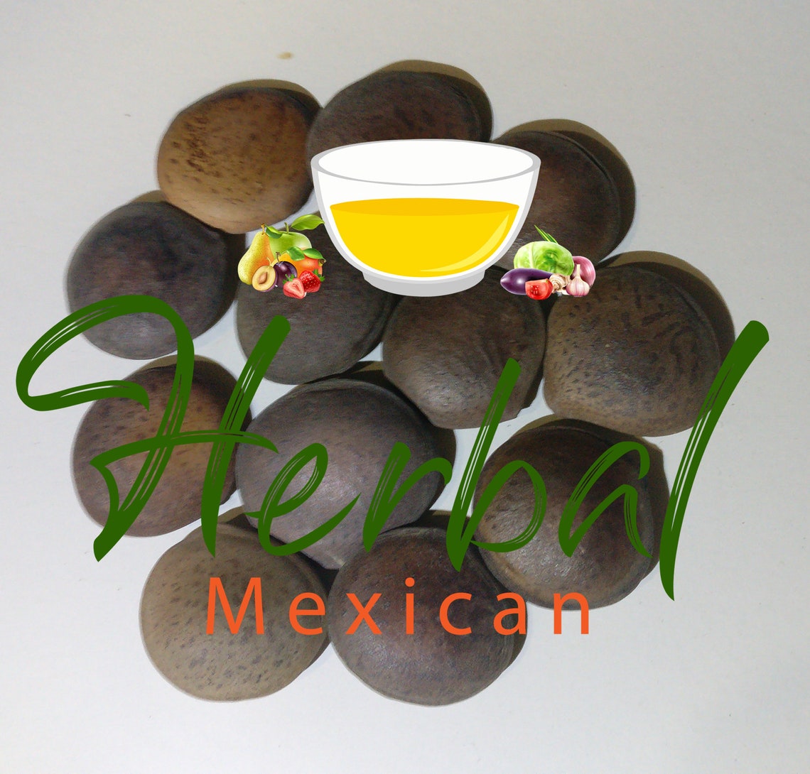 Habas De San Ignacio Como Se Toman Habas De San Ignacio 1.5oz 12 a 14 Habas Enteras Ignatius Bean, Haba De