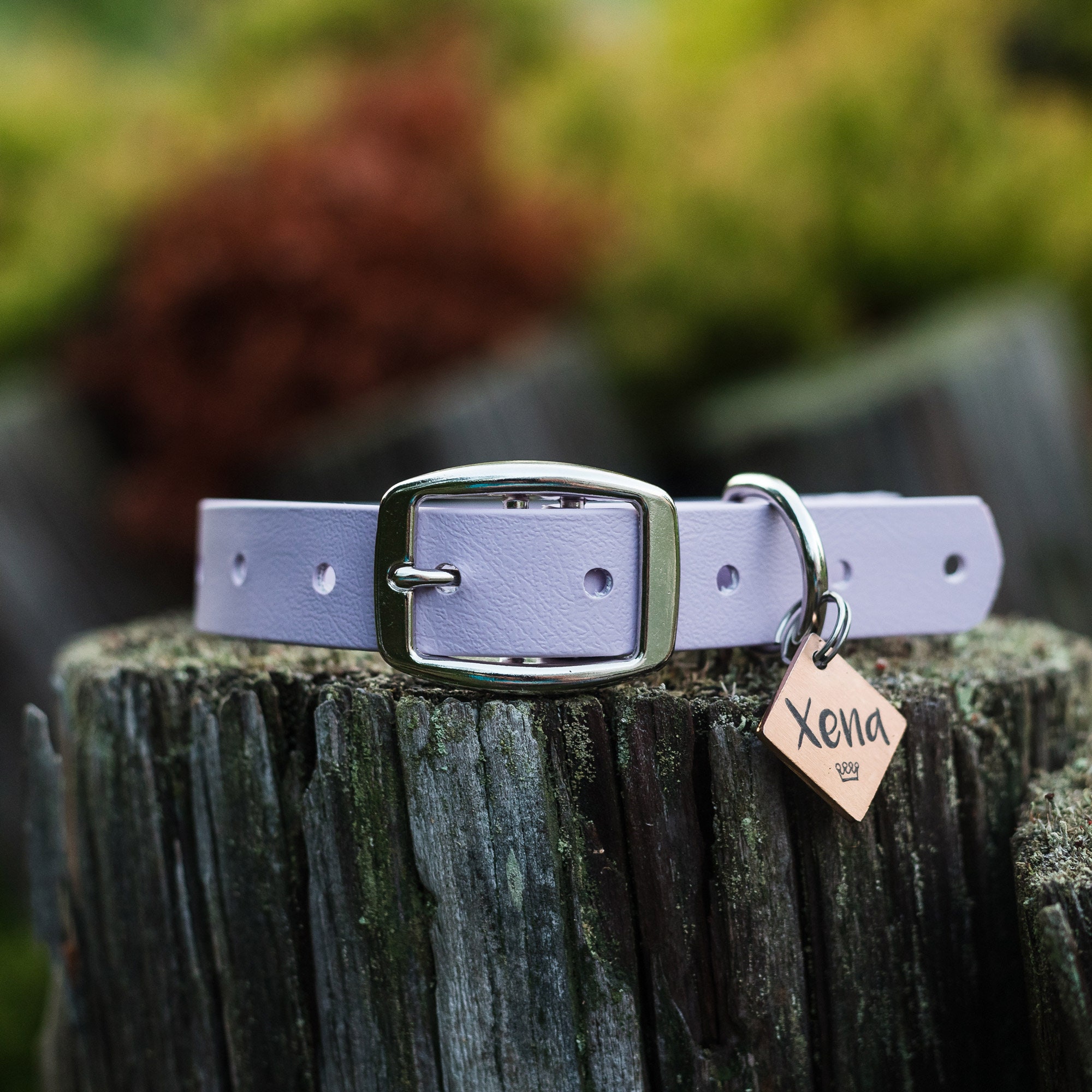 Lilac Biothane Dog Collar Waterproof Dog Collar Outdoor Etsy UK