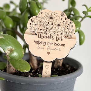 Porta-cartão-presente para professor, Placa de planta para professor, Semana de valorização do professor, Lembrança para professor, Ajudando-me a crescer, Presente de agradecimento para professor