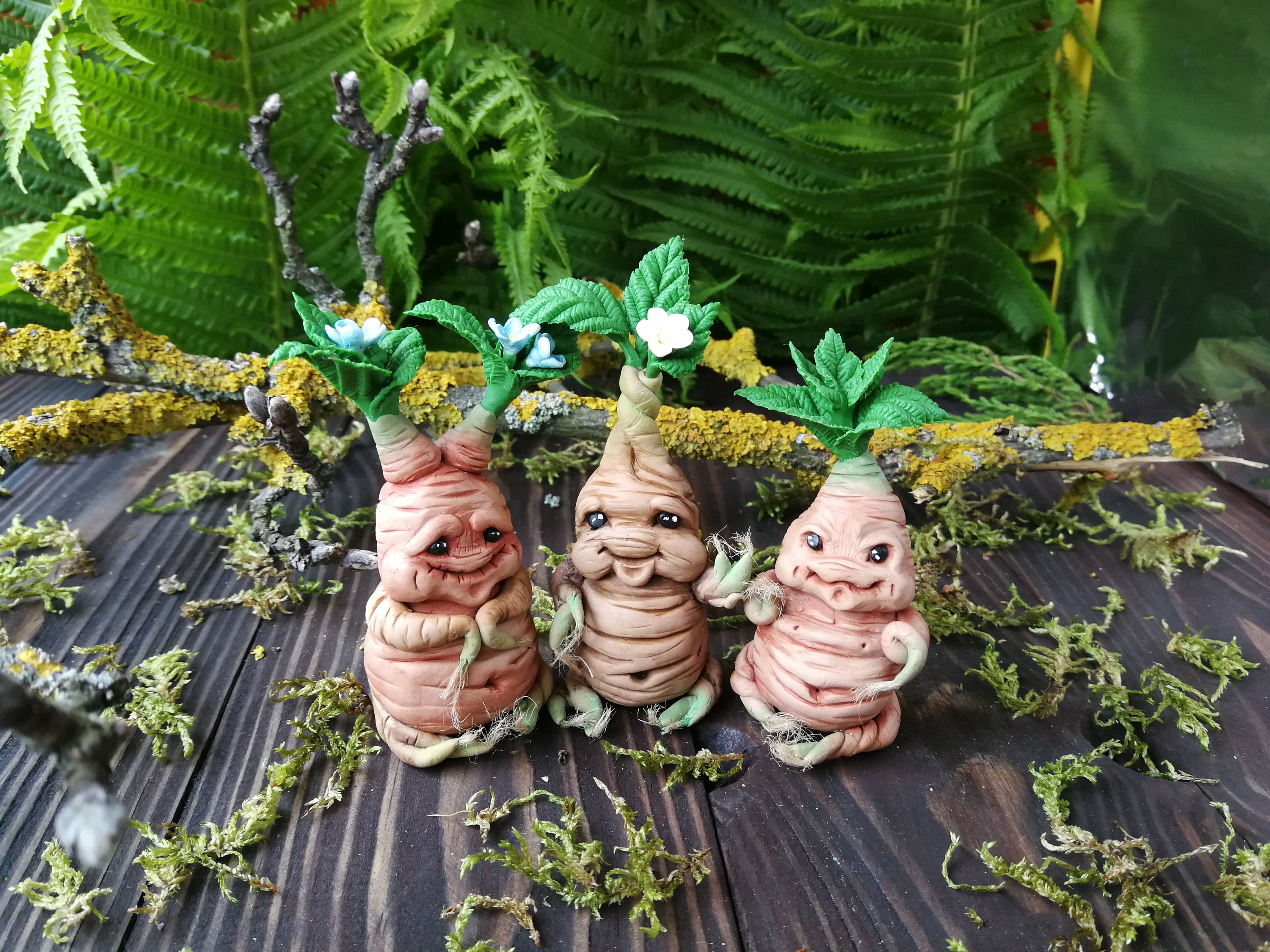 mandrake scream mandrake scream