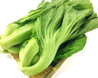 500++ Oragnic Mustard Green Seeds | Rau Cay | 100% Germination | Heirloom Seeds | Non-GMO | Home Grown | Fast Shipping!