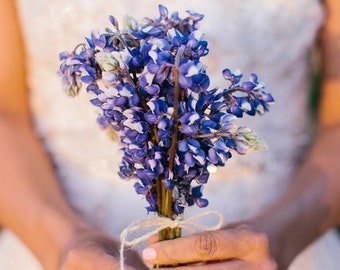70+ Texas Blue Bonnet Seeds | 100% Natural Field Seeds | Wildflowers Seeds | Super Vibrant | Limited | Home Grown | US Fast Shipping!