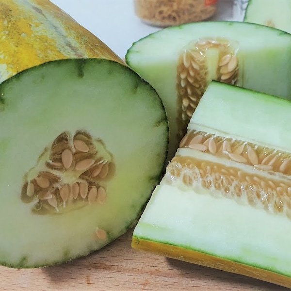 35 graines de melon thaïlandais biologiques | Vietnam Dưa Gang (dưa bở) | Long melon musqué | Graines patrimoniales | Sans OGM | Cultivé maison | Expédition rapide !