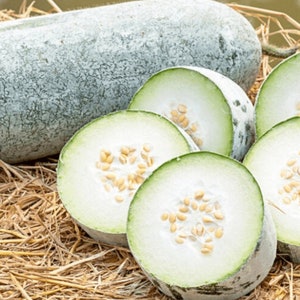 35 Organic Winter Melon Seeds | Ash Gourd | Wax Gourd | Gourd Seeds | Non-GMO | Fresh Crops | Hot Bi Dao | Home Grown | Fast shipping