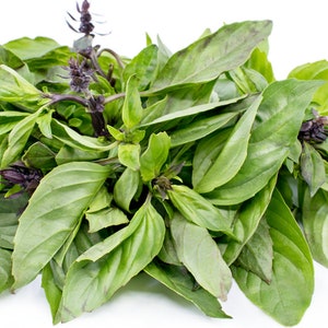 100+ Thai Sweet Basil Seeds | Rau Que | Pho Vegetables | Cinnamon Basil Herb | NonGMO | Home Grown | Fast Shipping!