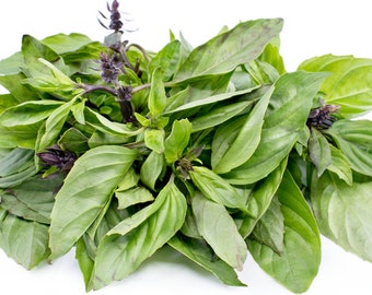 100+ Thai Sweet Basil Seeds | Rau Que | Pho Vegetables | Cinnamon Basil Herb | NonGMO | Home Grown | Fast Shipping!