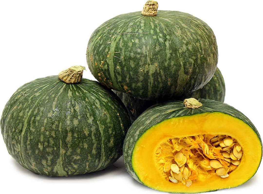 15 Organic Kabocha Seeds | Japanese Squash | Buttercup Squash | Asian ...