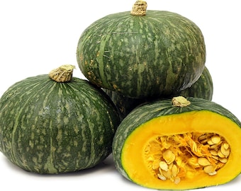 15 Organic Kabocha Seeds | Japanese Squash | Buttercup Squash | Asian Pumpkin | Non-GMO | Fresh Crops | Home Grown | Free Shipping!