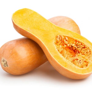 40+ ekologiska butternutpumpafrön | Superläckra squashfrön | GMO-fria frön | Nya grödor | Hemodlade | Snabb leverans!