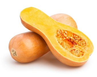 40+ Organic Butternut Squash  Seeds | Super Delicious Squash | Non-GMO Seeds | New Crops | Home Grown | Fast shipping!