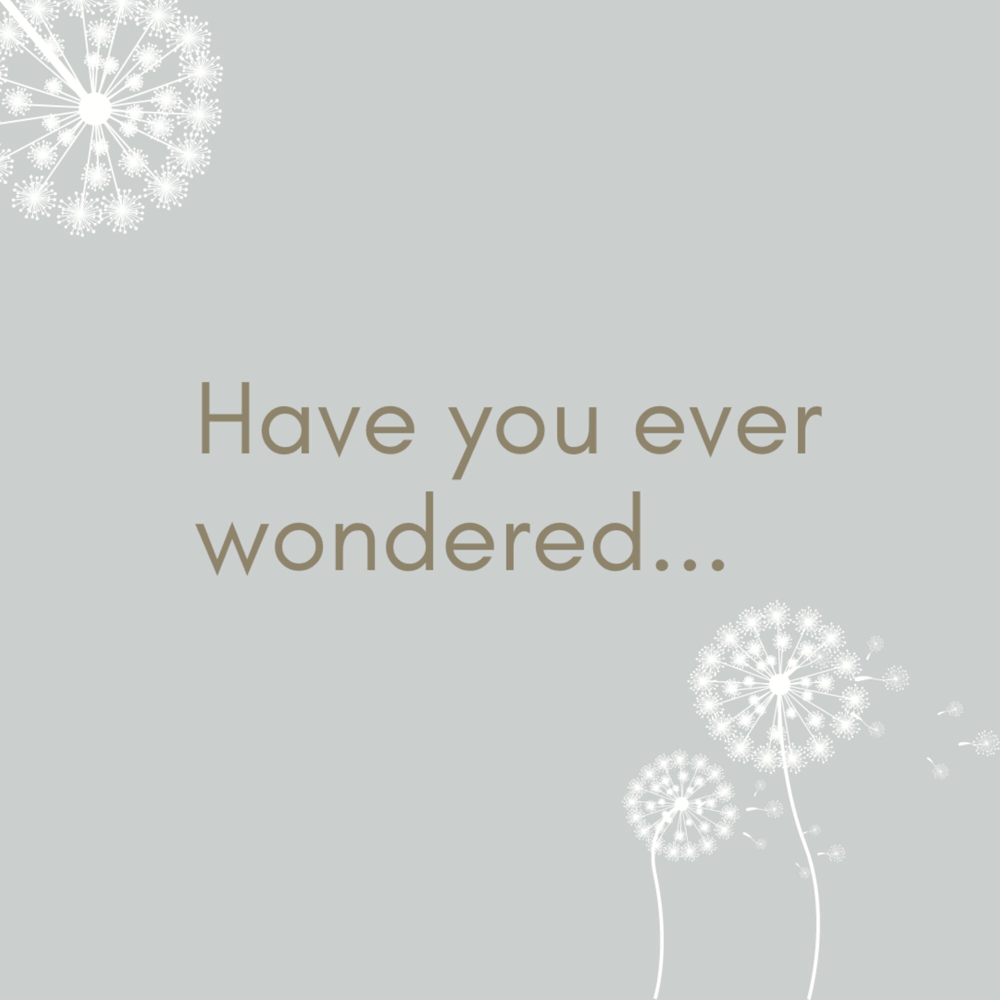 Poetry Prompts for Beginers How to Write Poetry A Workbook | Etsy