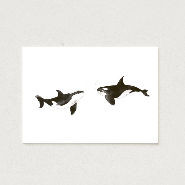 Postkarte mit 2 Orca Walen