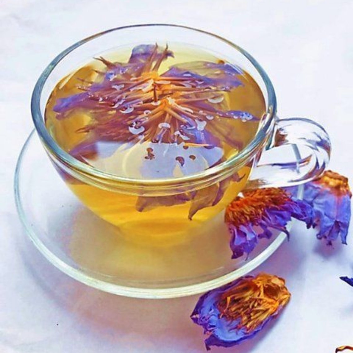 Natural Organic Dried Blue Lotus Flower Herbal Tea Etsy
