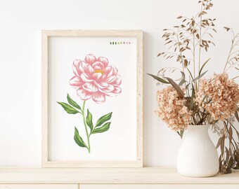Original Artwork - PALE PINK Peony Botanical Illustration A5