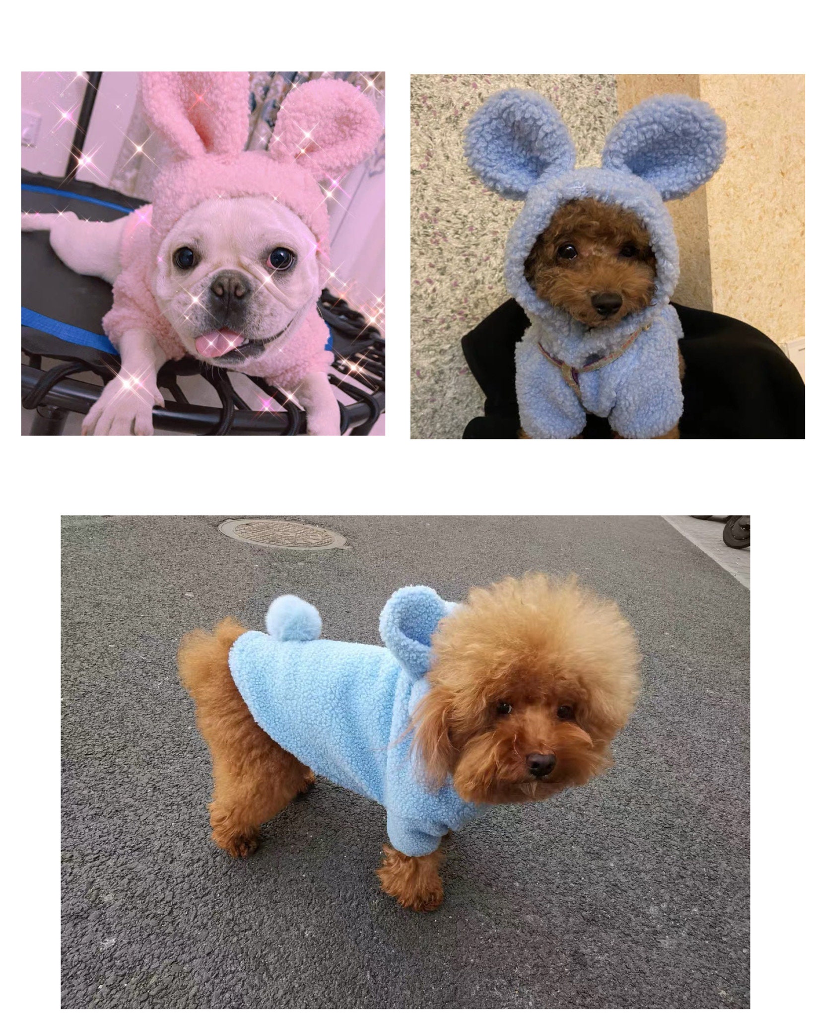 Easter bunny dog/dog rabbit costume/easter pet costume/funny Etsy