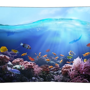 海の魚のタペストリー