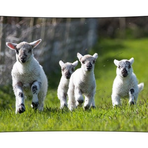 Happy Goats Trotting Tapestry