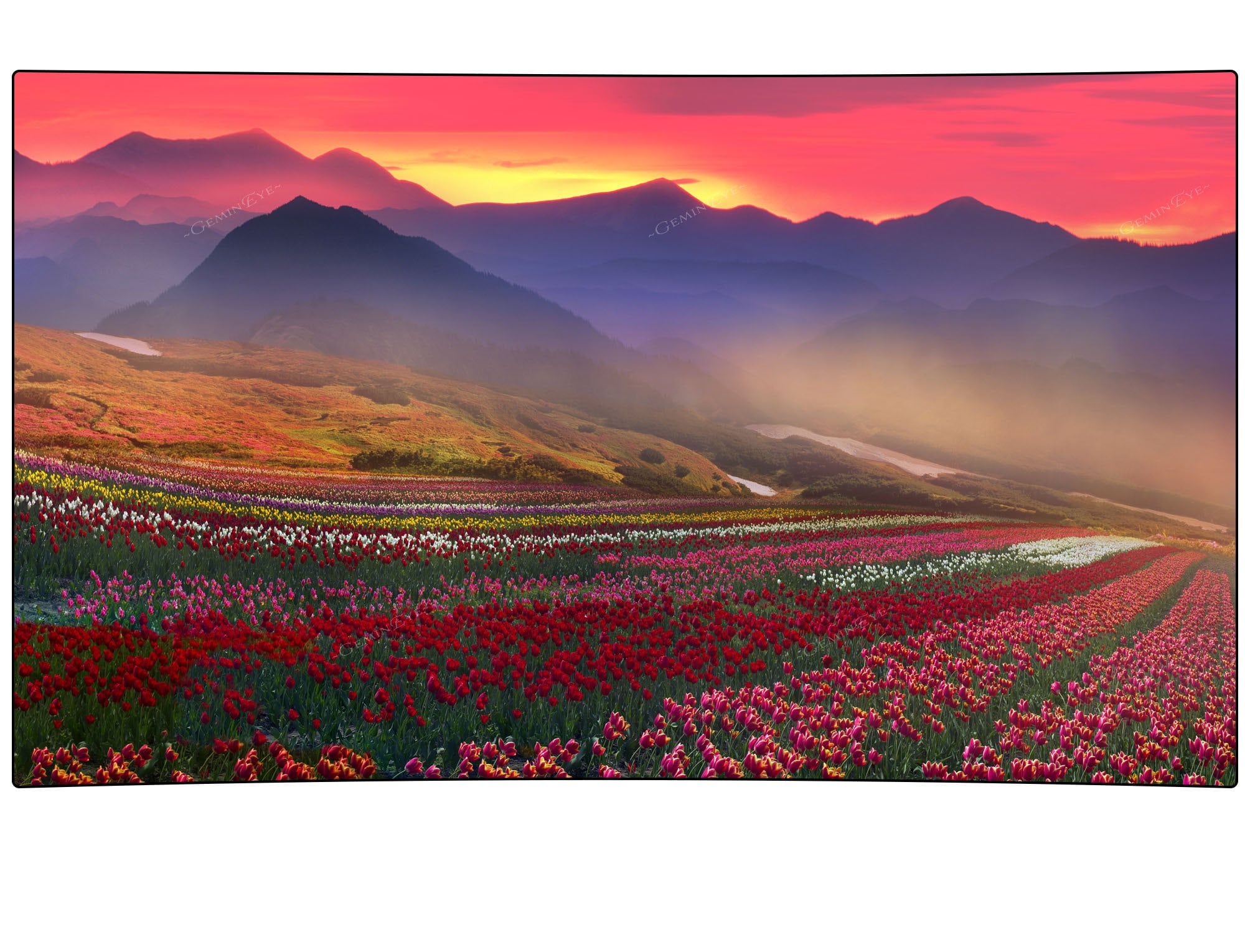 Flower Field Sunset Tapestry | Etsy