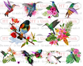 Download Hummingbird Svg Etsy
