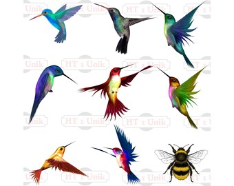 Download Hummingbird Svg Etsy