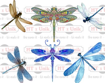 Download Dragonfly Svg Etsy