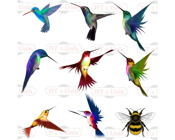 Download 9 Hummingbird Svg Png Jpeg Hummingbird 3d Print Watercolor Etsy