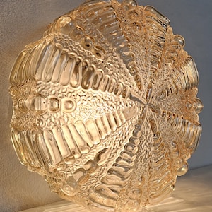 May include: A round, textured glass light fixture with a warm, amber hue. The design features a radial pattern with bubble-like details, creating a unique, decorative lighting element. The fixture is mounted on a wall.
