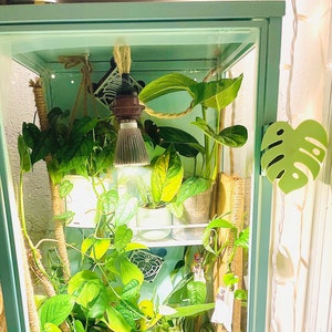 RUDSTA TALL Ikea Greenhouse Cabinet Handle - Monstera Deliciosa- 3D printed