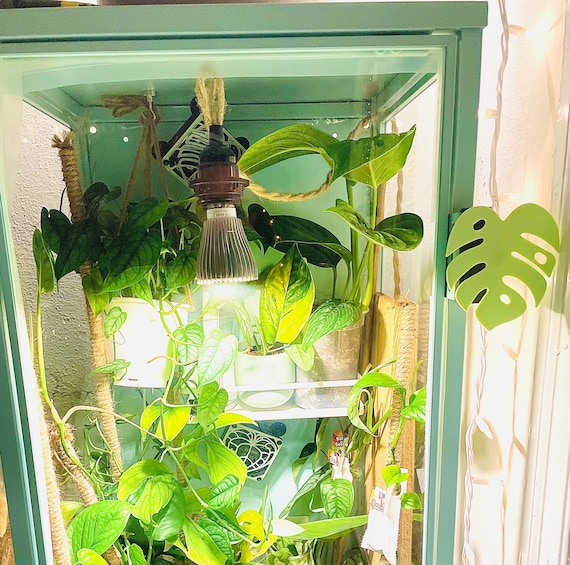 Ikea Greenhouse Rudsta TALL Handle Monstera Etsy