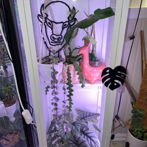 BAGGEBO Monstera deliciosa handle  - ikea baggebo greenhouse cabinet - houseplant - 3d printed