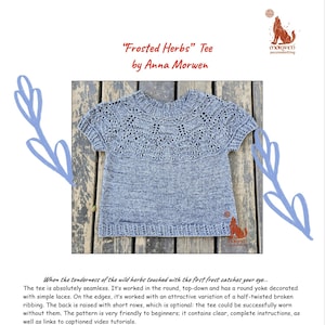 Puede incluir: Una camiseta gris tejida con mangas cortas. La camiseta tiene un canesú redondo decorado con encaje y el texto "Frosted Herbs" Tee de Anna Morwen.