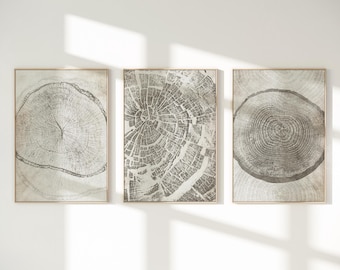 Beige Tree Ring Print Set: Nordic Triptych Nature Art (Digital Download)