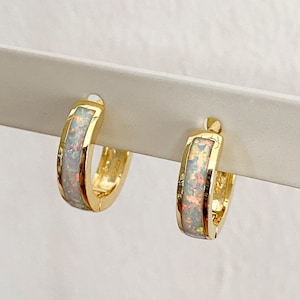 May include: A pair of gold hoop earrings with a white opal inlay.