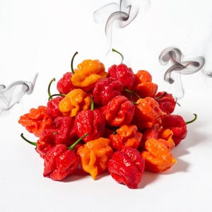 Carolina Reaper Worlds Hottest Pepper ~ 12 Seeds - 2024 Harvest ~ High Viability and Germination Rate - &quot;Top Grade&quot; BEST QUALITY ~ FRESHEST!