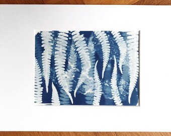 May include: A cyanotype print featuring white silhouettes of multiple fern fronds against a deep blue background, presented within a clean white rectangular mat board border. The botanical composition displays varied leaf textures and patterns.