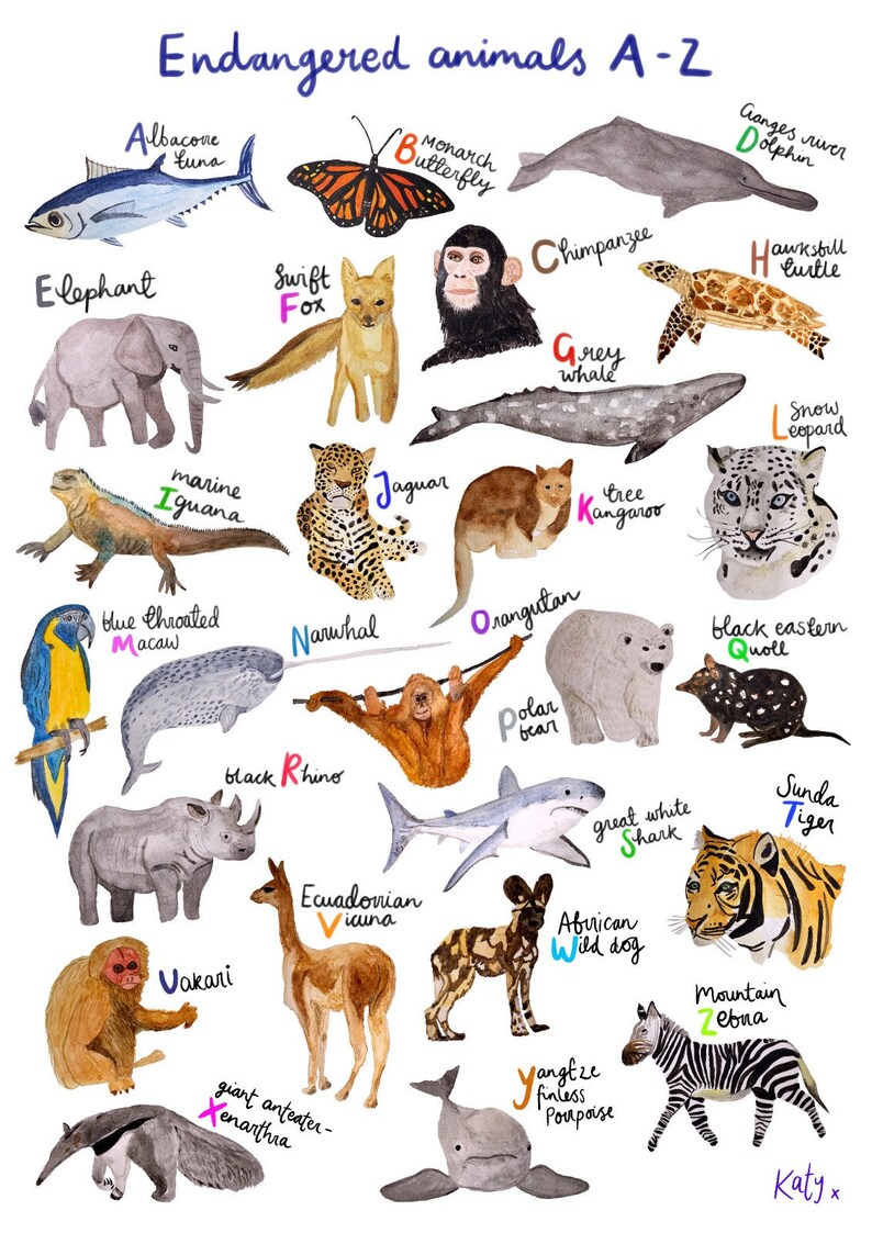 A3 Endangered Animals A-Z Print (unframed) - Etsy UK