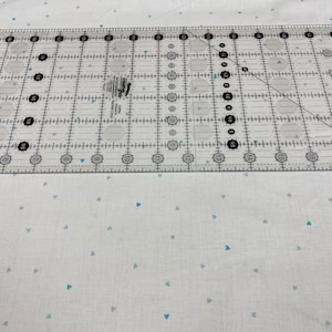 Hush Hush Heart Attack from Riley Blake Designs.....Yardage...Sold in 1/2 yard increments