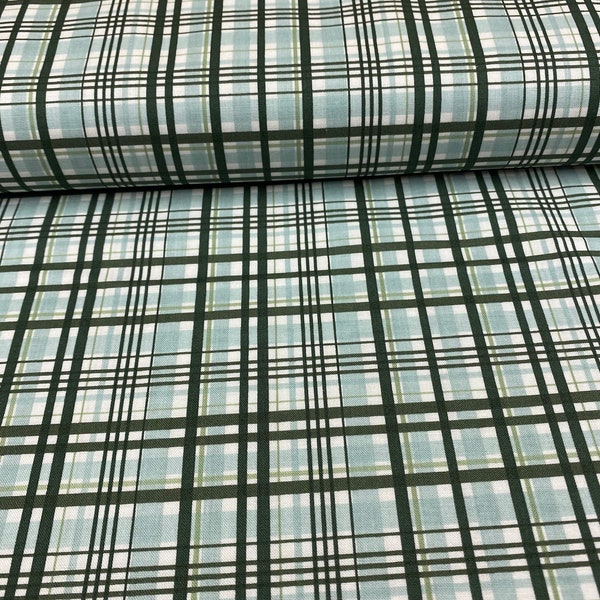 It's a Boy Plaid by Echo Park Paper Company for  Riley Blake Designs, Hunter ...Yardage, Sold in 1/2 yard increments