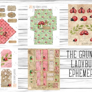 May include: A digital paper pack with a grunge aesthetic featuring ladybugs, flowers, and mushrooms. The pack includes envelopes, tags, and other decorative elements. The text "The Grungy Ladybug Ephemera" is featured on the image.